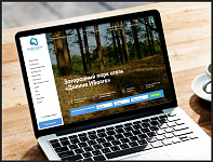 Разработка сайта для парк-отеля «Долина Иволга»